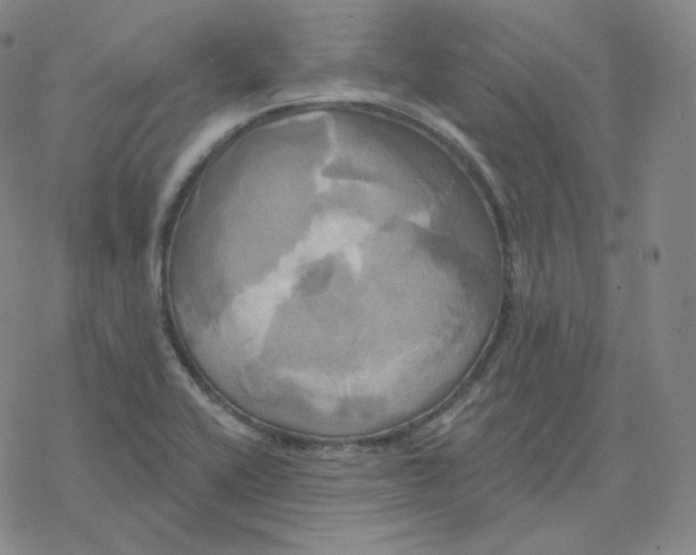 X0000076381416200610271516