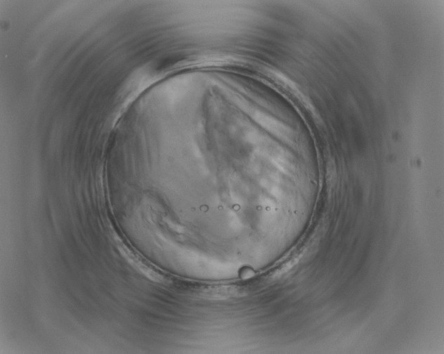 X0000076381417200610271516