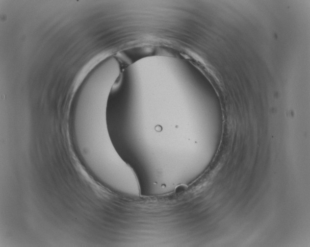 X0000076381418200610271516