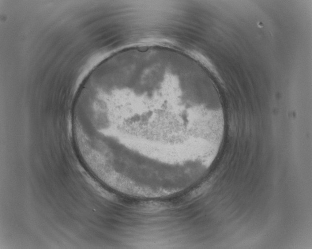 X0000076381420200610271516