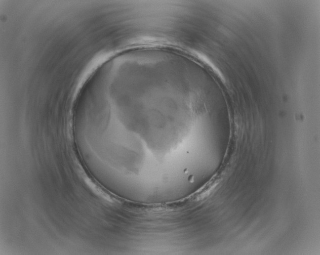 X0000076381421200610271516