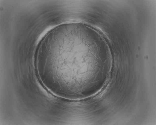 X0000076381422200610271516