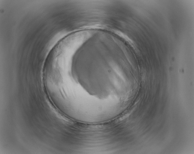 X0000076381423200610271516