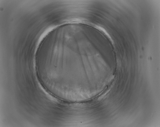 X0000076381424200610271516