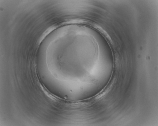 X0000076381425200610271516