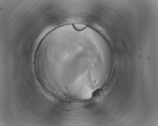 X0000076381427200610271516