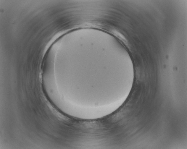 X0000076381428200610271516