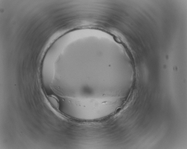 X0000076381429200610271517