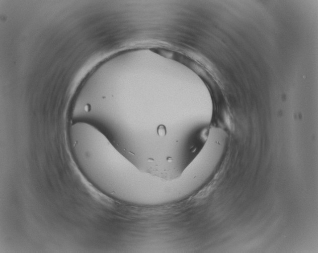 X0000076381430200610271517