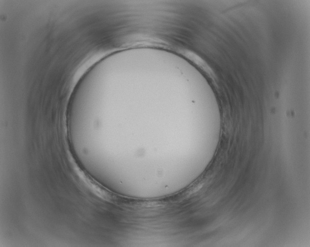 X0000076381431200610271517