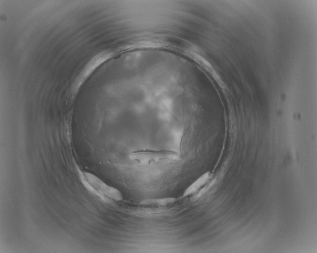 X0000076381433200610271517