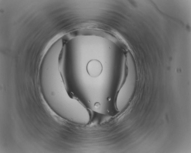 X0000076381434200610271517