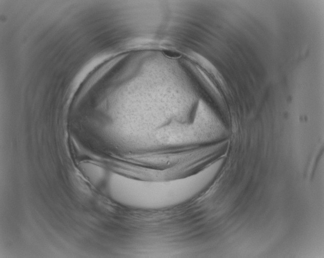 X0000076381435200610271517