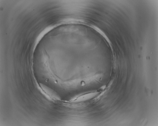 X0000076381437200610271517