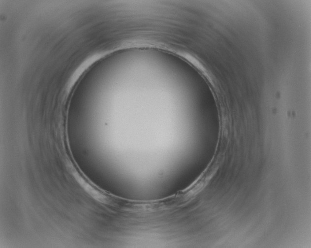 X0000076381438200610271517