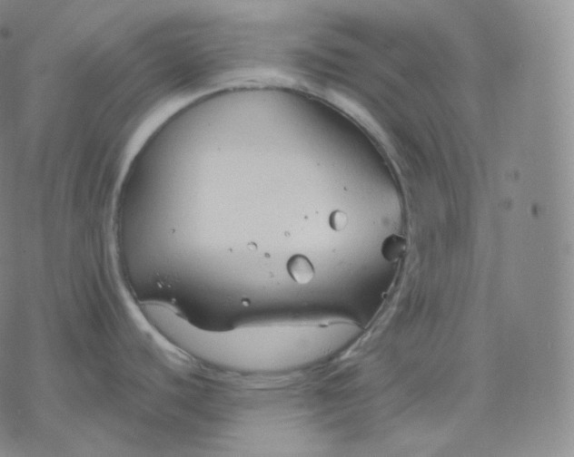 X0000076381440200610271517