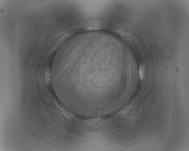 X0000076381444200610271516