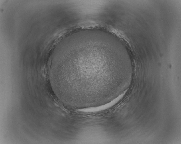 X0000076381445200610271516