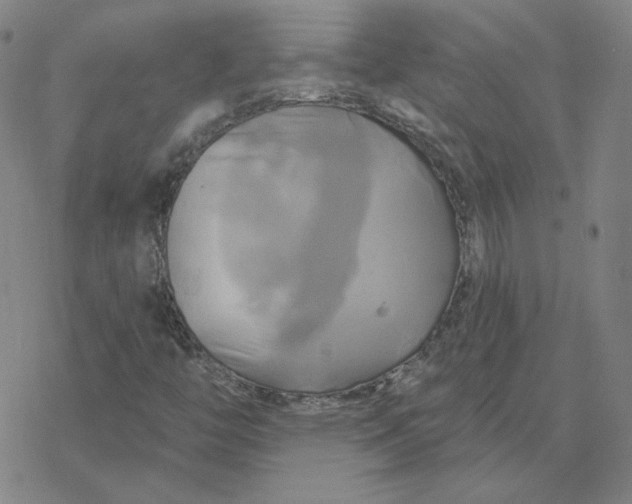 X0000076381446200610271516