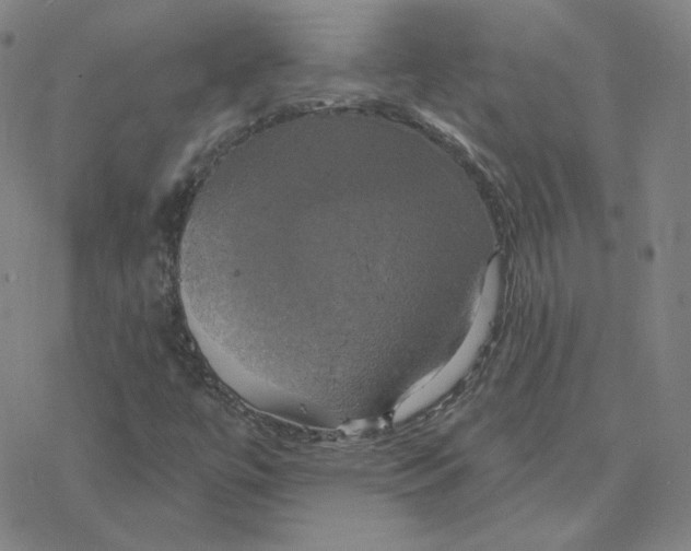 X0000076381447200610271516