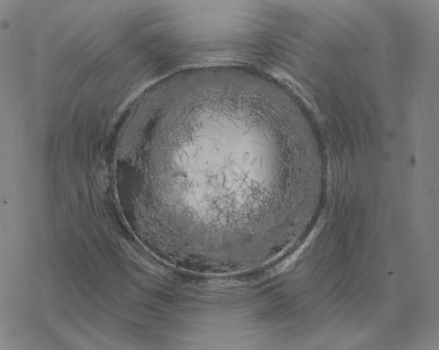 X0000076381449200610271516