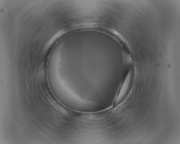 X0000076381450200610271516