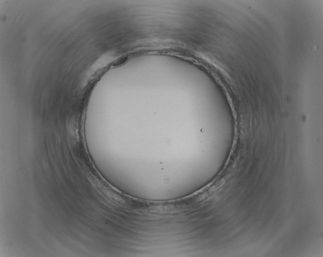 X0000076381451200610271516