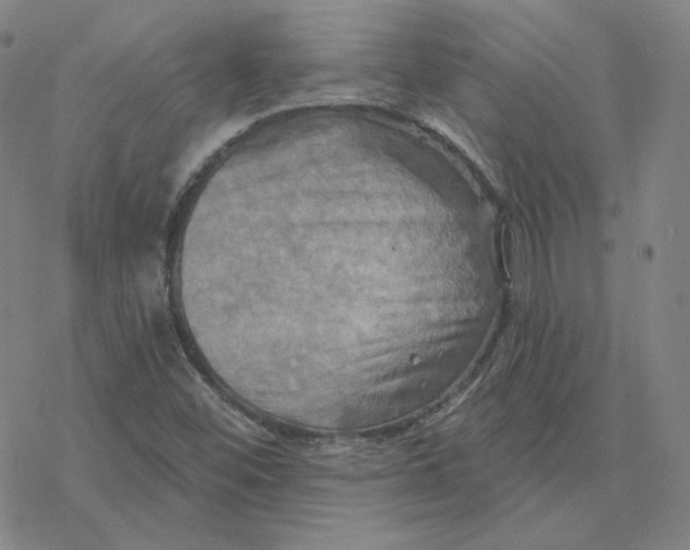 X0000076381452200610271516