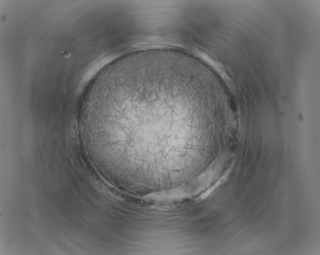 X0000076381453200610271516