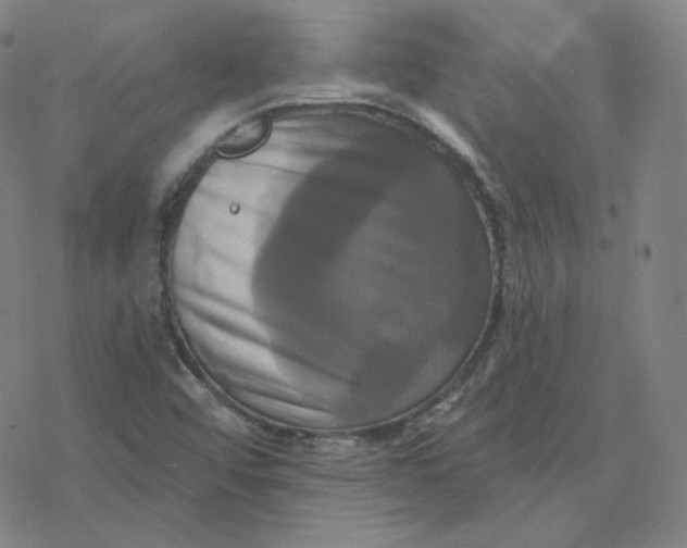 X0000076381456200610271516