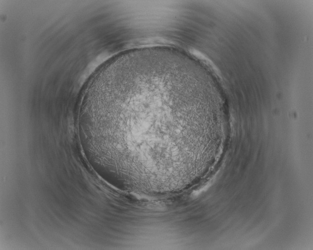 X0000076381457200610271516