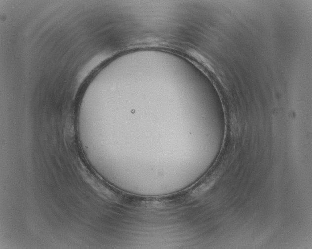 X0000076381458200610271516