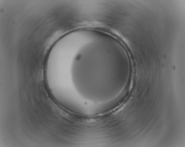 X0000076381459200610271516