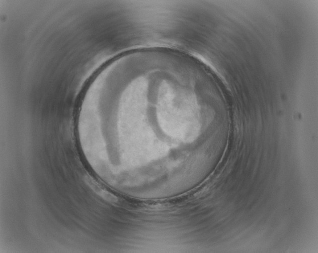 X0000076381460200610271516