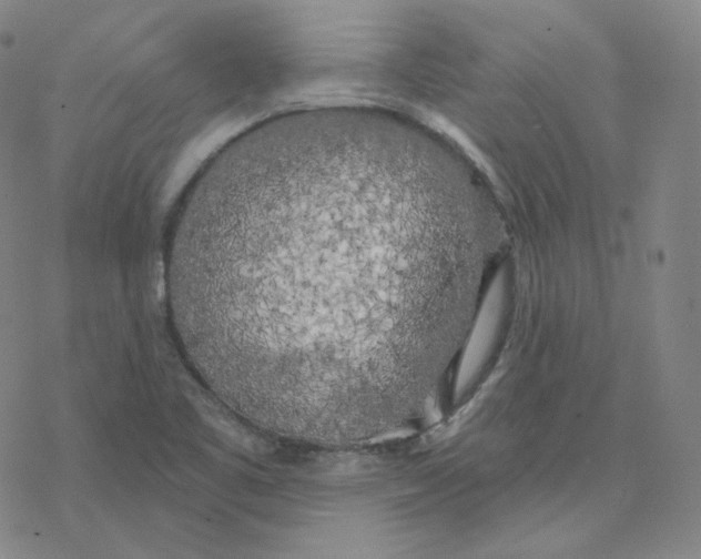 X0000076381461200610271516