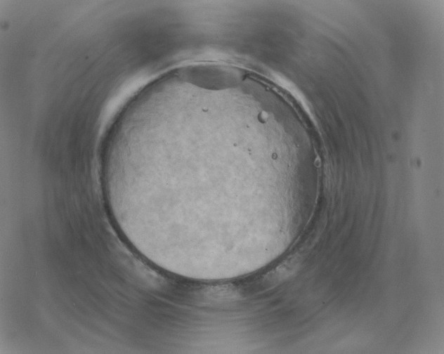 X0000076381464200610271516