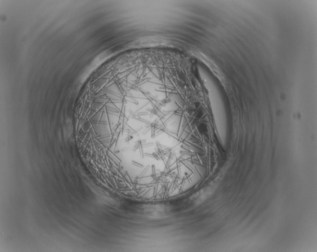 X0000076381465200610271516