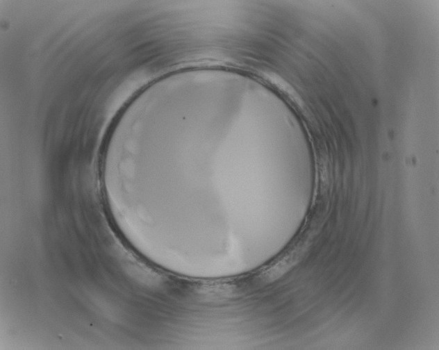 X0000076381466200610271516