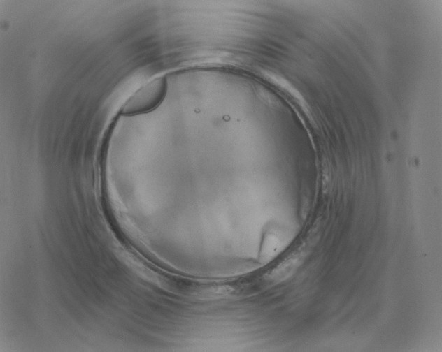 X0000076381467200610271515