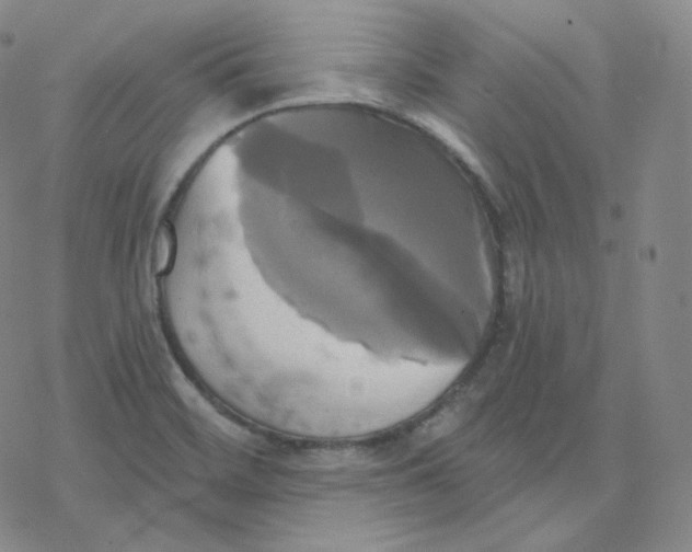 X0000076381468200610271515