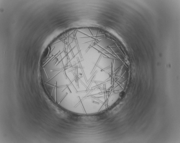 X0000076381469200610271515