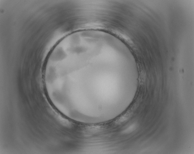 X0000076381470200610271515