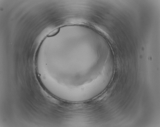 X0000076381471200610271515