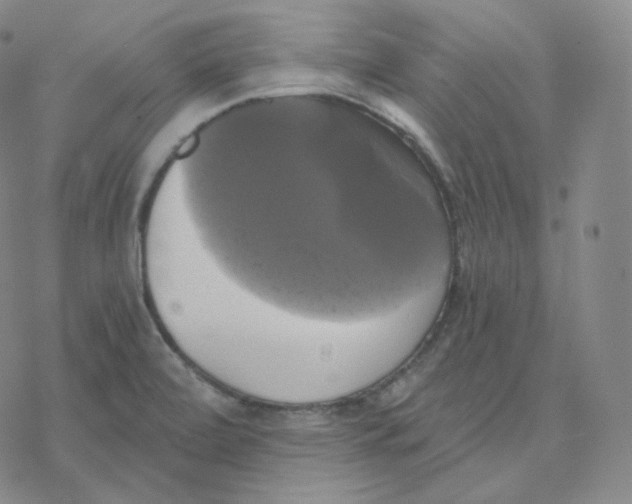 X0000076381472200610271515