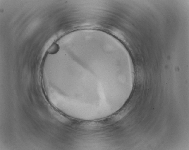 X0000076381474200610271515