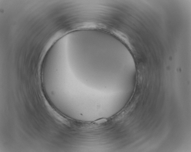 X0000076381475200610271515