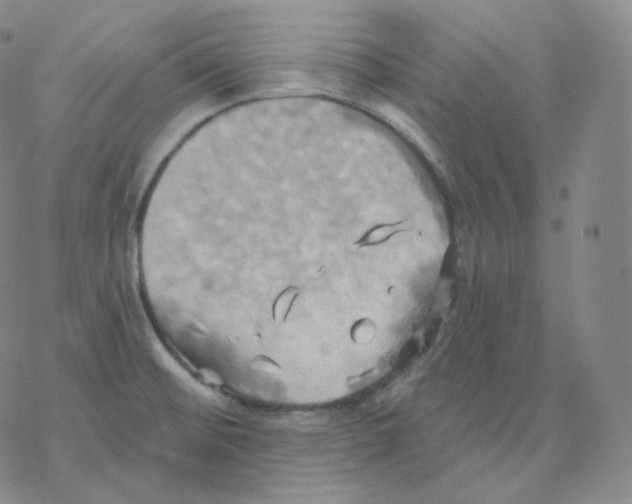 X0000076381476200610271515