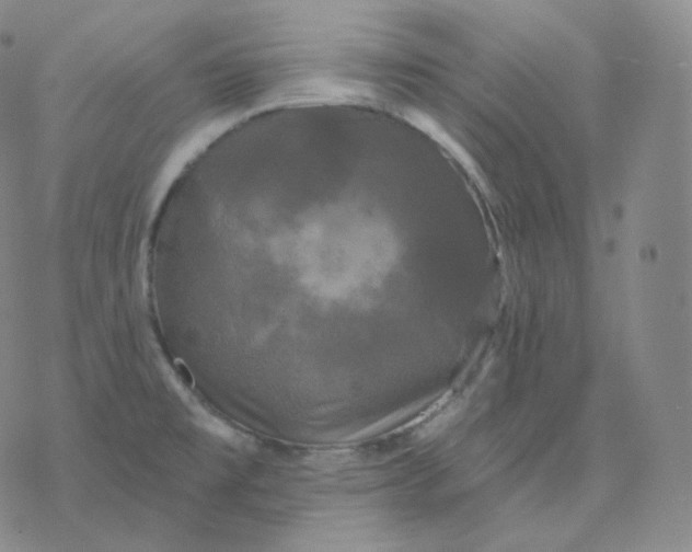 X0000076381477200610271515