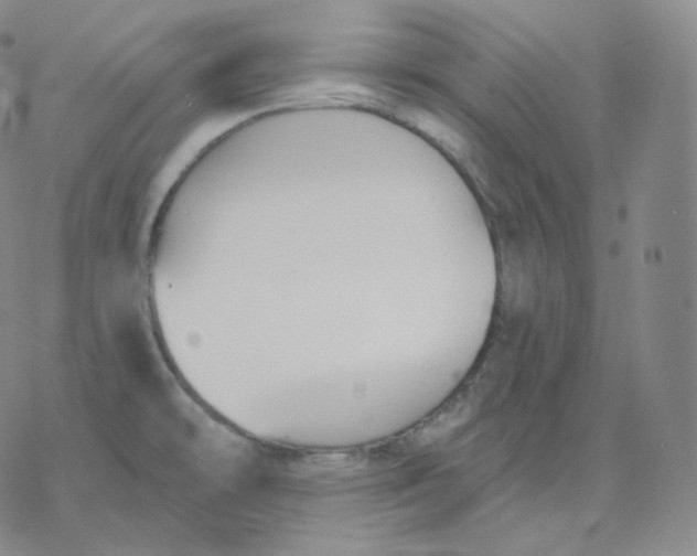 X0000076381478200610271515