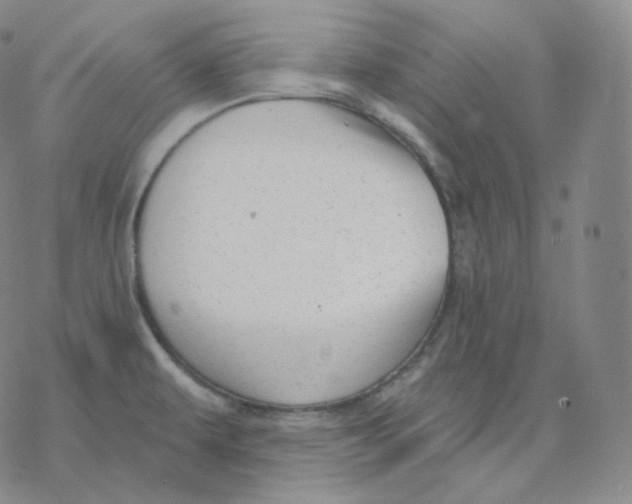 X0000076381479200610271515